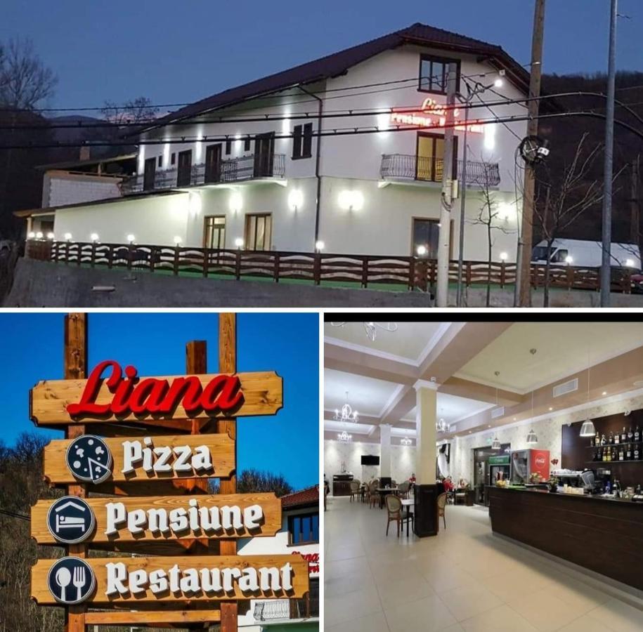 Pensiune Restaurant Liana Mehadija Zewnętrze zdjęcie